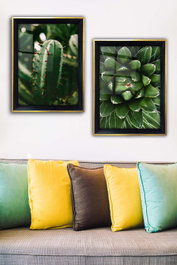 Wallity Cuadros Decorativos Enmarcados Multicolor (Set de 2 piezas, 35 x 45 cm)